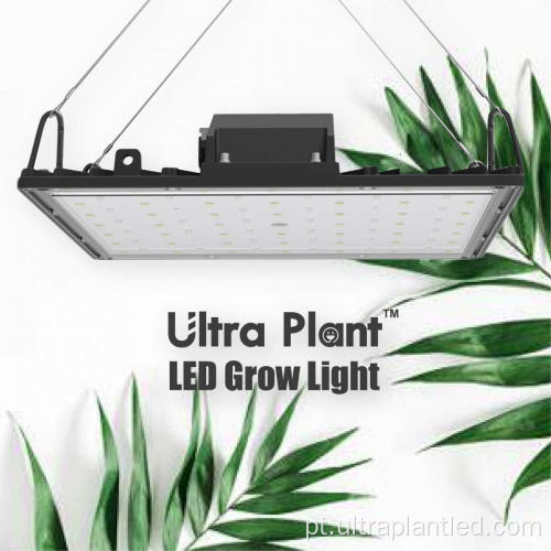 Luzes de cultivo LED agrícolas UV 150W para horticultura